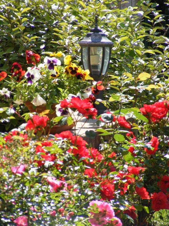 Hotel Logis Le Cygne 2*